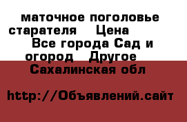 маточное поголовье старателя  › Цена ­ 3 700 - Все города Сад и огород » Другое   . Сахалинская обл.